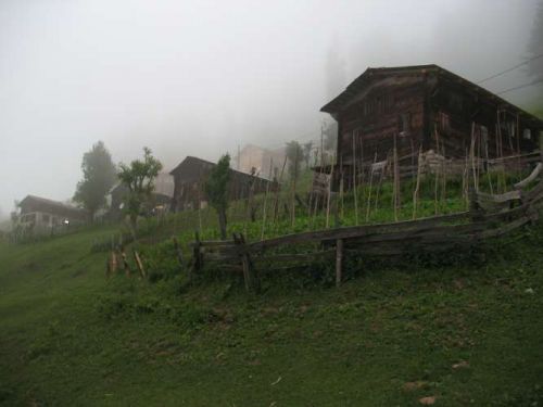 1182332471 430 FT0 Img 1113 